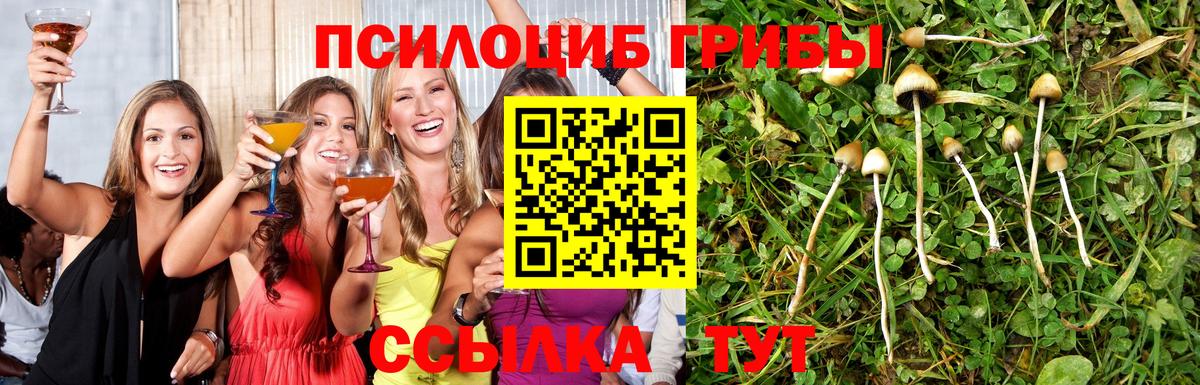 Галлюциногенные грибы GOLDEN TEACHER  Вход с VPN  Подольск 